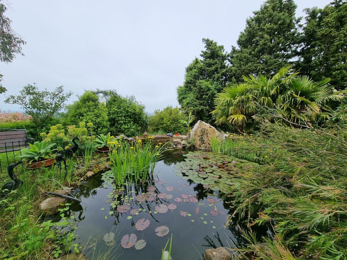 Garden * Secovlje