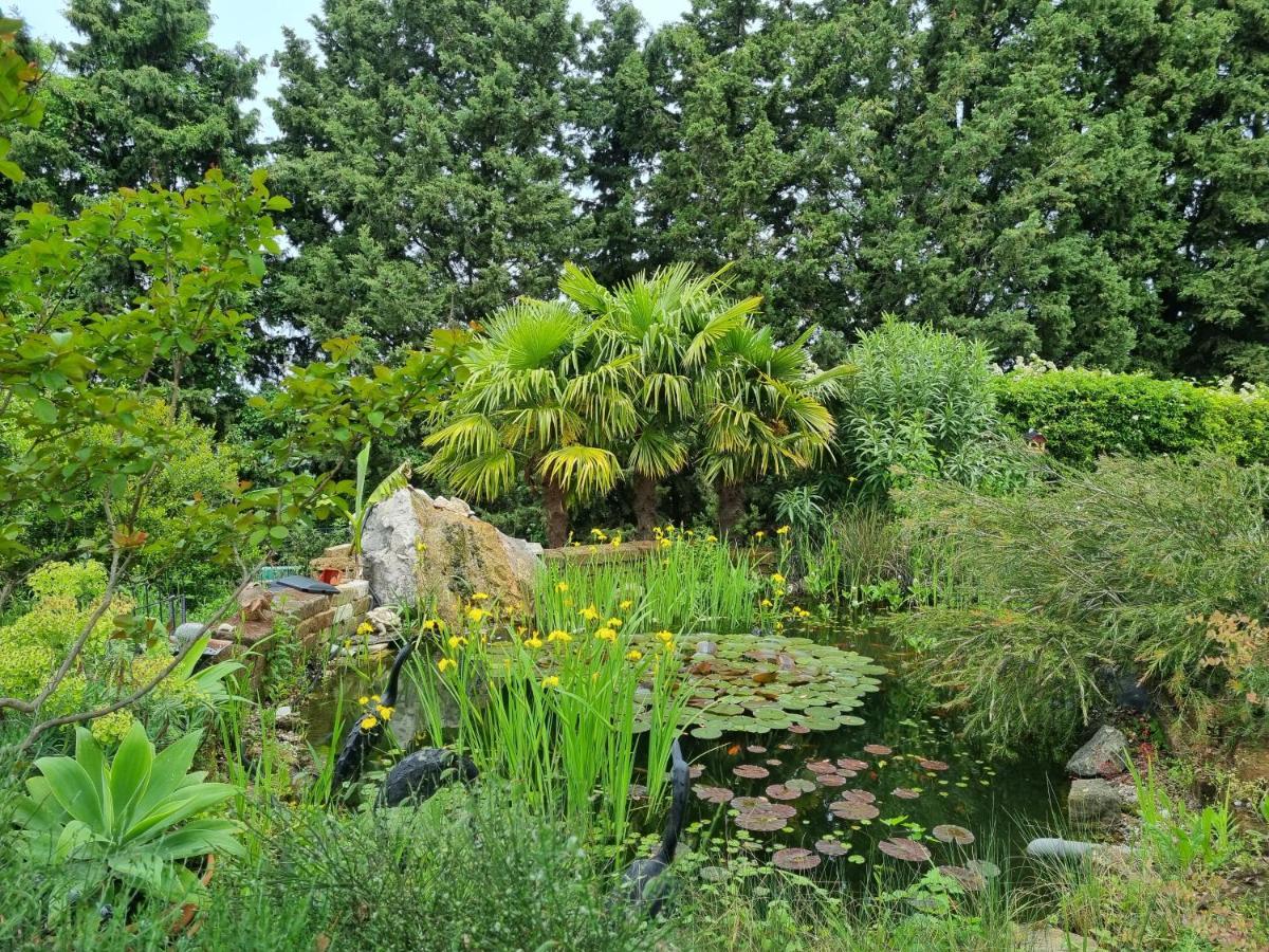 Apartment Garden *